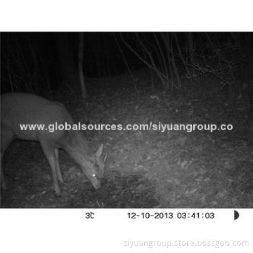 8MP Weather-proof IP66 Invisible IR Guard Motion Detector Surveillance Camera, Time Lapse
